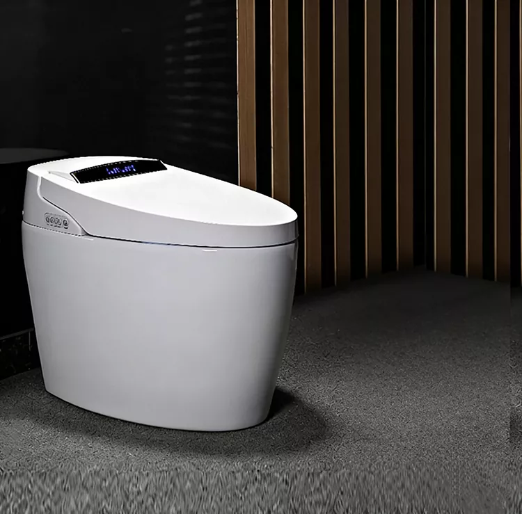 Tsoka-Inoshanda Flip-Pamusoro Smart Toilet