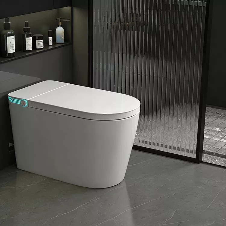 Wireless Remote-Controlled Spray Nozzle Sterilization Smart Toilet